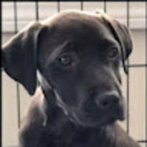 Meet your Posher, Traci